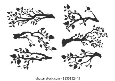 set of tree branches with leaves isolated