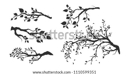 Similar – Image, Stock Photo Autumn-colored deciduous trees and a weeping willow on the banks of the Jacobiweiher in Frankfurt am Main