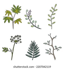 A set of tree branches and leaves. Vector image.