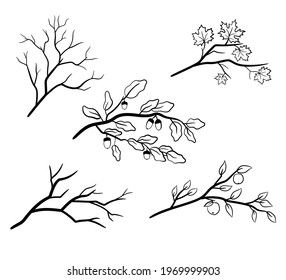 A set of tree branches with maple, oak and apple leaves. Naked autumn branches of trees. Vector illustration isolated.