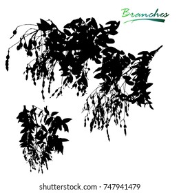 Set of tree and branches with seeds and pods silhouette. Detailed vector illustration.