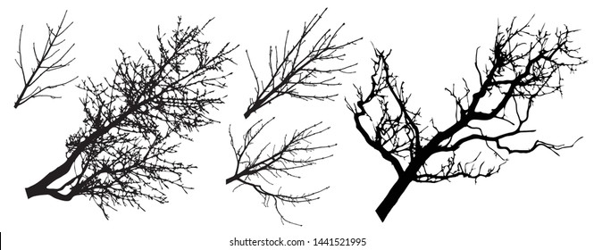 Set of tree branches silhouettes, vector illustration