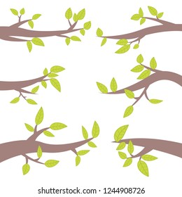 Set of tree branches vector design illustration isolated on white background