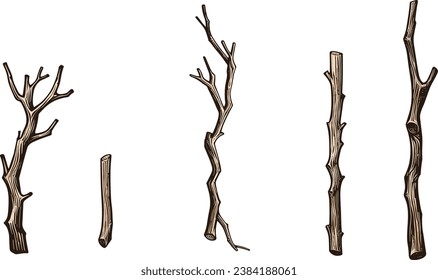 Set of tree branches without leaves, watercolor vector illustration	