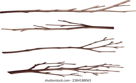 Set of tree branches without leaves in watercolor, vector illustration	