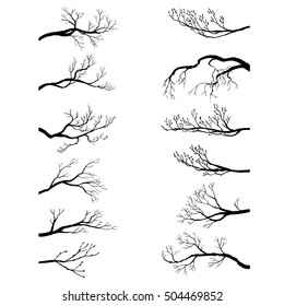 set of tree branches without leaves, winter twigs,isolated hand drawn vector elements