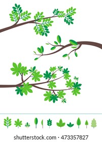 Set of tree brunches with leaves flat vector border