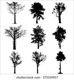 Set Tree collection vector