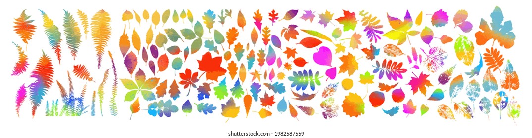 Conjunto de hojas de árbol coloridas. Ilustración del vector