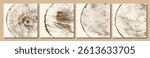 Set of tree cross-sections. Ring pattern, growth layers of a tree trunk in section. Vector illustrations.