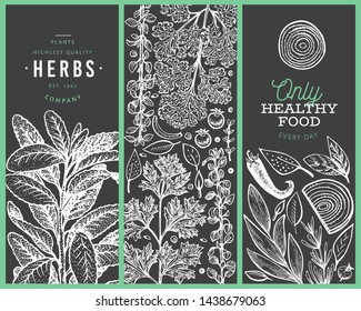 Set of tree culinary herbs banner templates. Hand drawn vintage botanical illustration on chalk board. Engraved style designs. Vintage food background.