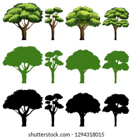 Conjunto de tres ilustraciones de diseño diferentes