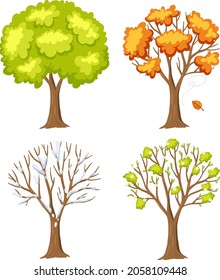 Set of tree in different season illustration
