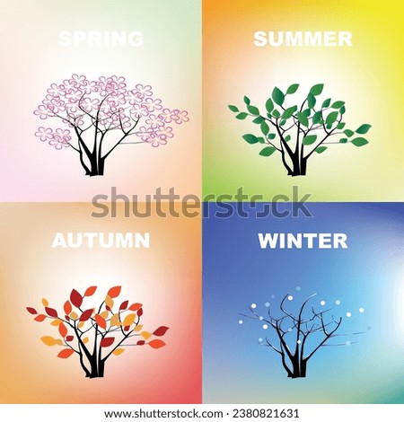 set of tree in four seasons 