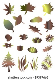 set of tree, grasses and leafs in autumn colors