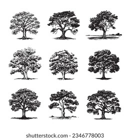 Set of tree hand drawn vector