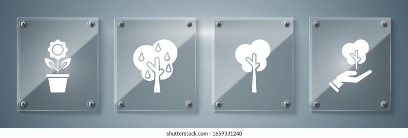 Colocar árbol en mano de protección medioambiental, árbol, árbol con peras y flor en la olla. Paneles de vidrio cuadrado. Vector