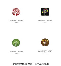 Set Tree icon concept of a stylized tree with letter