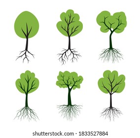 Set Tree Icon with green Leaves and Roots. Vector outline Illustration. Plant in Garden.