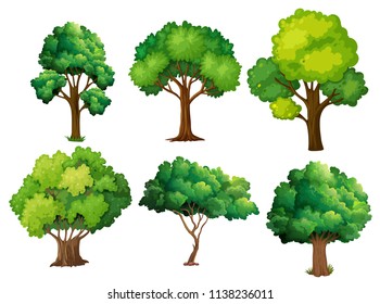 45,042 Planting trees clipart Stock Illustrations, Images & Vectors ...