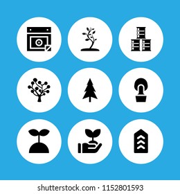 set with tree, install , chevron and barrel vector icons for web and mobile app