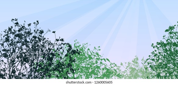 set of tree leaf branch leaf silhouette isolate on blue sky sun burst background