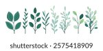 Set of tree and leaf collection hand drawn flat design vector element. botanical set of bare trees and ones with leaves and lush green