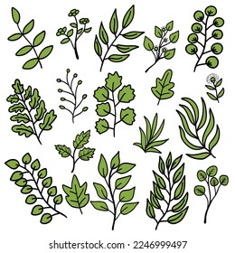 Set of tree leaves, branches, eucalyptus, palm leaf, herbs and flowers colors. Botanical vector illustration good for element, pattern, decoration, ornament, icon, logo, texture and background.