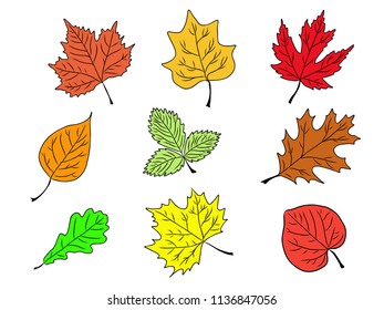 Set of tree leaves colorful silhouette, icon, logo, autumn poster, vector illustration. EPS 8