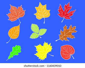 Set of tree leaves colourful silhouette, icon, logo, autumn poster, vector illustration. EPS 8