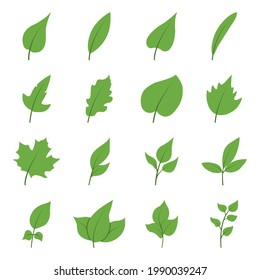 Set of tree leaves in a flat style. Vector illustration of leaves and branches with leaves isolated on a white background.