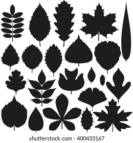 Set of tree leaves. Silhouette icons. Vector illustration