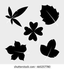 Set tree leaves. Vector Illustration. eps10