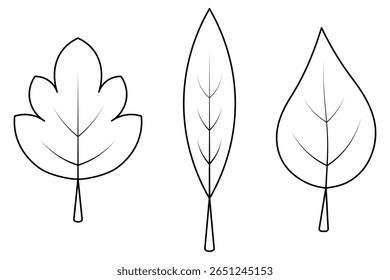 Conjunto de folhas de árvore com veias. Esboço. Folha pontiaguda, folha de ácer, folha de choupo. Ilustração vetorial. Contorno em plano de fundo branco isolado. Estilo Doodle. Livro de colorir para crianças. Ideia para web design.