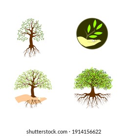 conjunto de plantillas de logotipo de vida de árbol, logotipo de árbol con raíces sobre la mano levantada, vector de árbol de mangle aislado