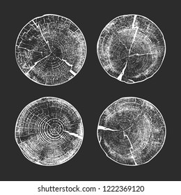 Set of Tree log, wood growth rings grunge texture. Vector illustration. Isolated on gray background.