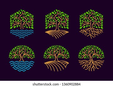 Set tree logo is hexagonal and round. logo, icon, label template. - vector