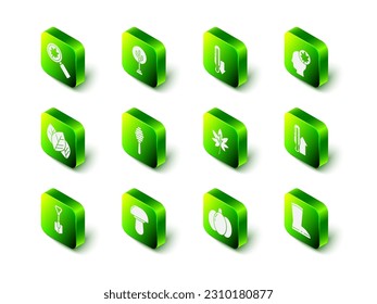 Set Tree, Meteorology thermometer, Human head with leaf, Waterproof rubber boot, Leaf leaves, Pumpkin and Mushroom icon. Vector