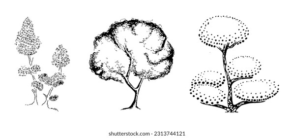 Set of tree Minimal style cad tree stilization line graphics trees elements outline symbol for architecture and landscape design drawing. Vector illustration isolated on white background