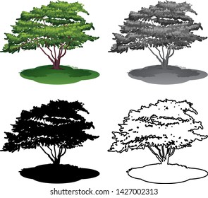 Set of tree on white background illustration