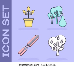 Set Tree with pears, Flowers in pot, Gardening handmade scissors for trimming and Tree with pears icon. Vector