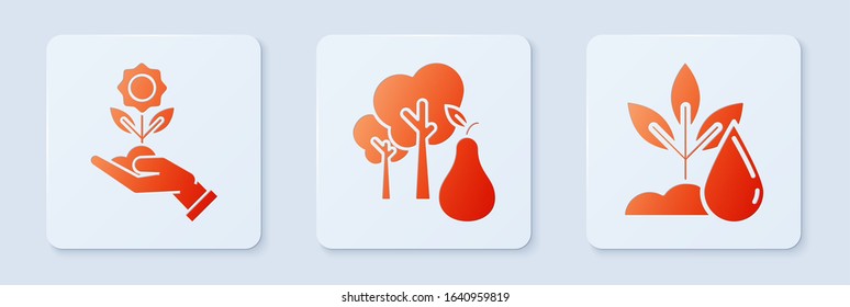 Set Tree with pears, Hand holding flower and Watering plant. White square button. Vector