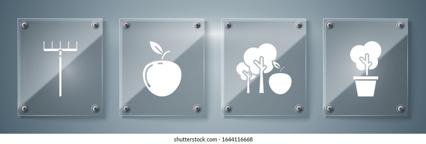 Set Tree in pot, Tree with apple, Apple and Garden rake. Square glass panels. Vector