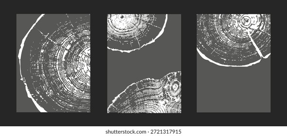Conjunto de patrones de anillo de árbol, textura de madera sobre fondos oscuros. Plantillas de grano de madera natural con secciones transversales de tronco circulares, con rodajas de tronco de árbol con anillos anuales para proyectos de diseño Vector