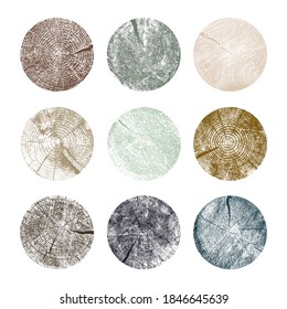 Set of tree rings background. For your design conceptual graphics. Wood texture of a flat chopped cross section of cracked wooden stump. Showing age and years. Vector isolated on white background.