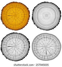 Set tree rings saw cut tree trunk background. Vector illustration.