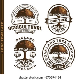 Set Tree And Root Logo Template