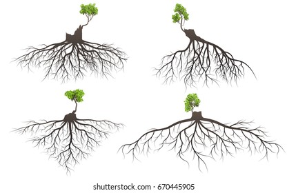 Set of tree roots with germinate limb. silhouette vector Illustration.