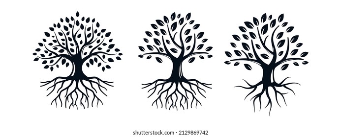 set of tree roots logo design vector illustration