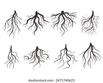 Set of tree roots vector illustration